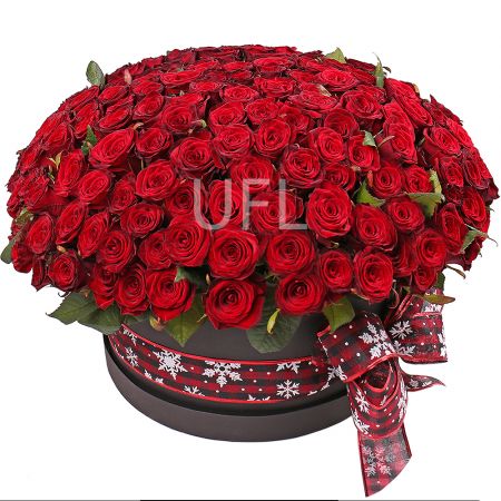 201 roses in a box Zhdanovka