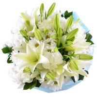  Bouquet Angel\'s wings Braga
														