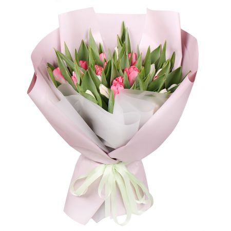 25 white and pink tulips Shirokoe
