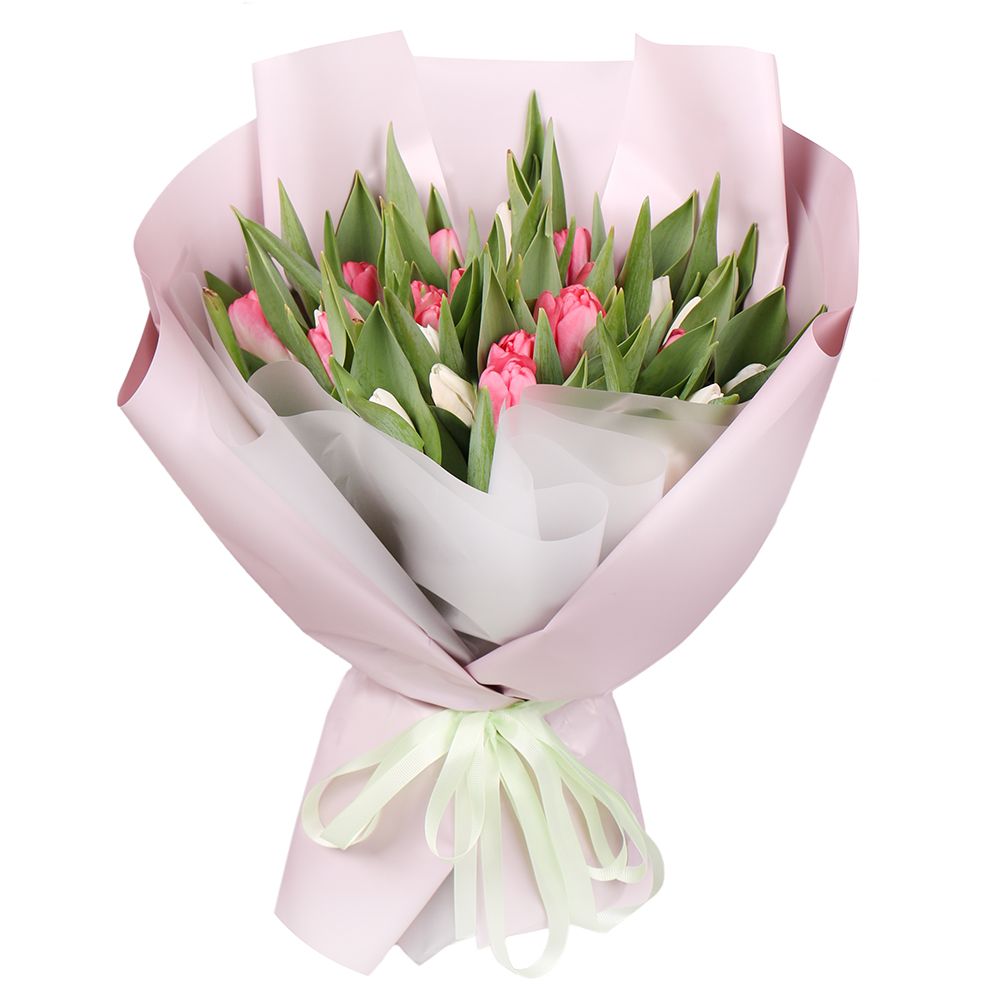 25 white and pink tulips