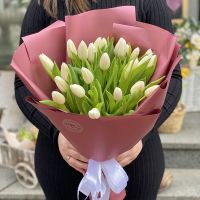 25 білих тюльпанів