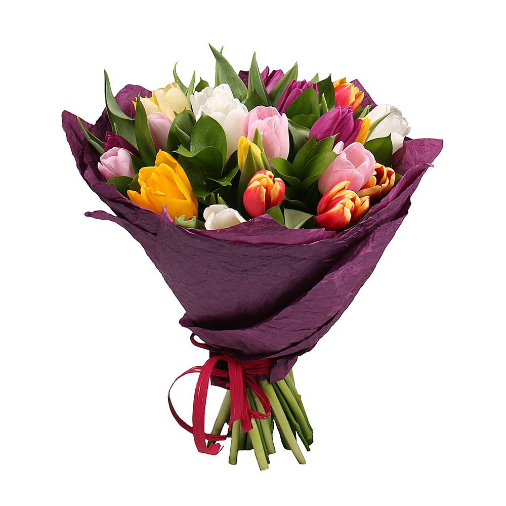 25 разноцветных тюльпанов Вишневец