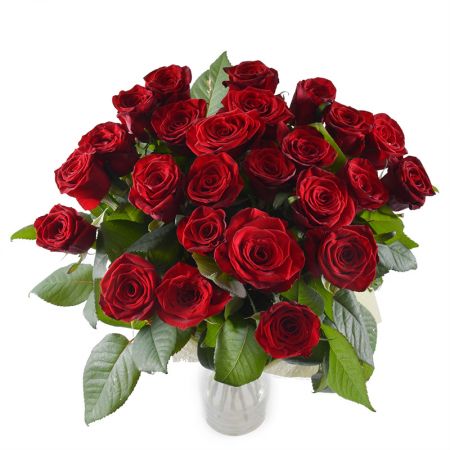 25 red roses Eure-et-Loir