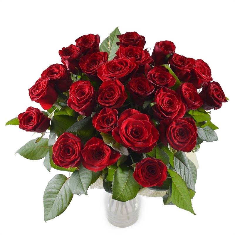 25 red roses 25 red roses