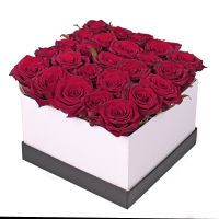 25 роз в коробке