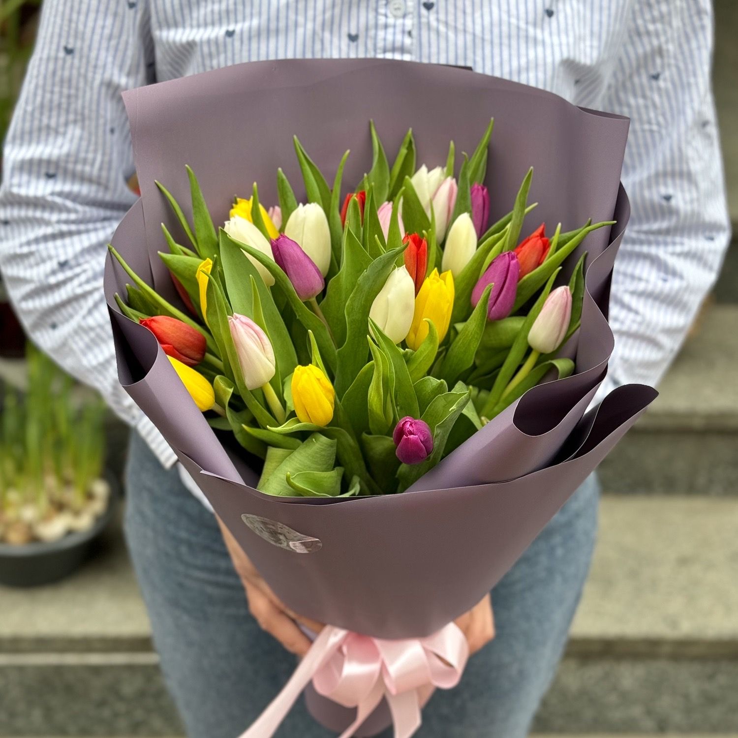 25 tulips mixed  197 €