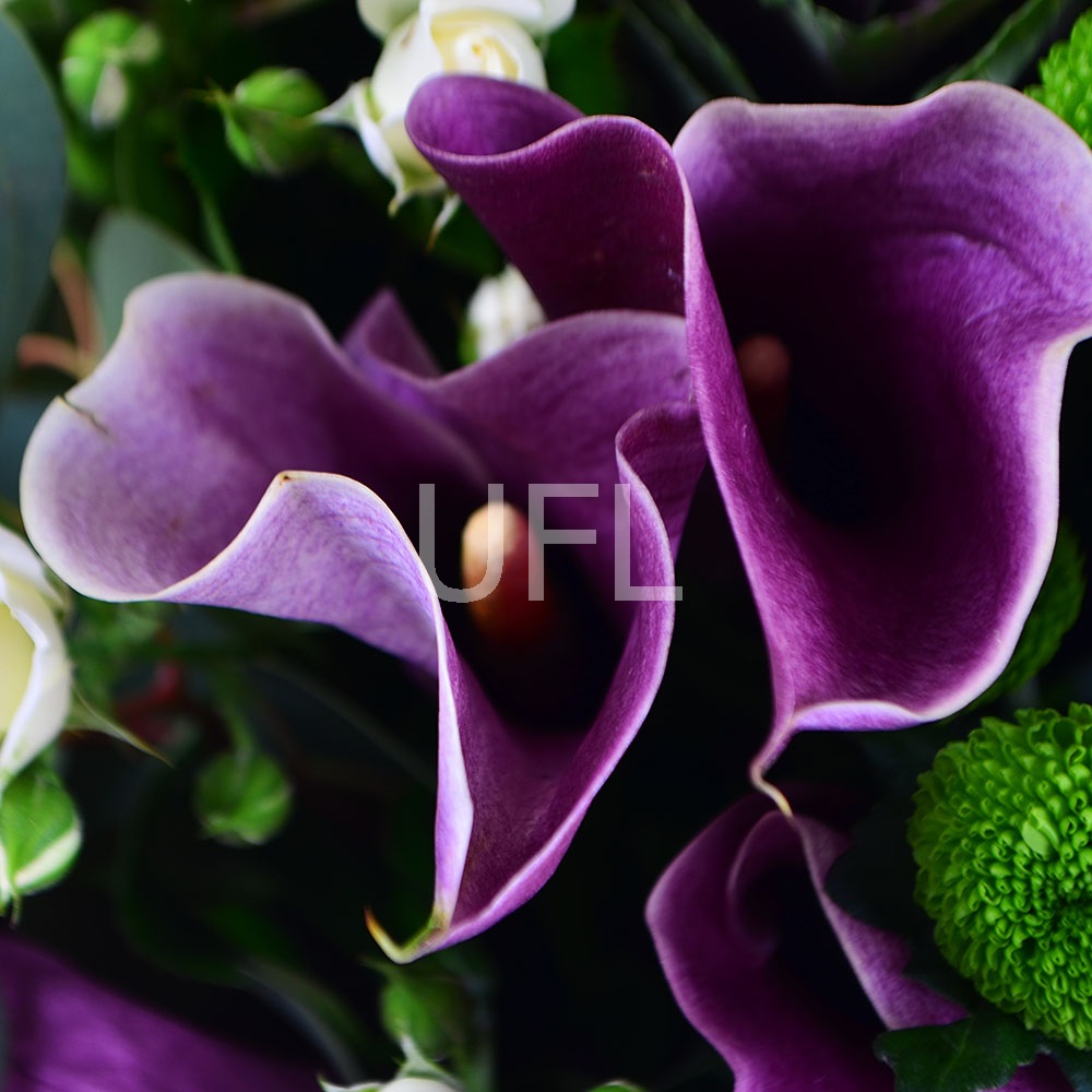  Bouquet French garden
													