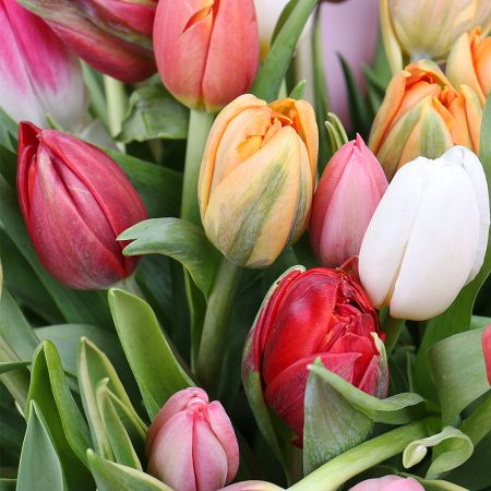 Bouquet of flowers Tulips!
													