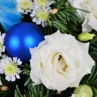  Букет Цветущее Рождество Бобруйск
														