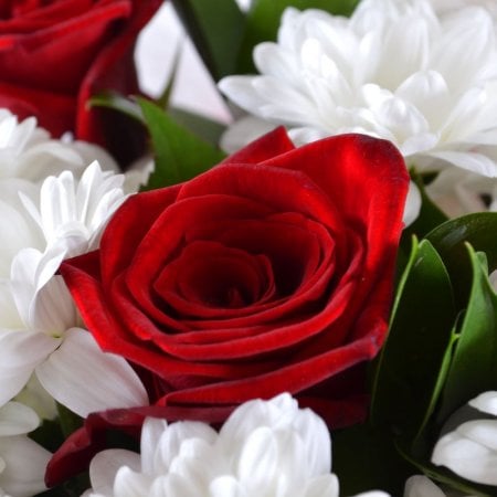 Букет из красных роз и хризантем