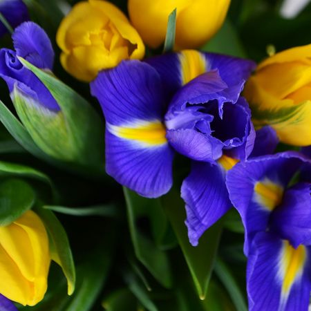 Букет квітів Іріси і Тюльпани 3434 грн