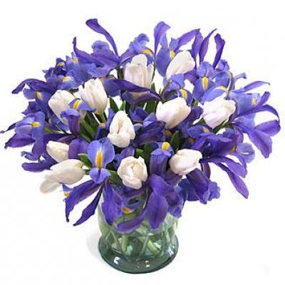 Букет цветов Фиолет
													