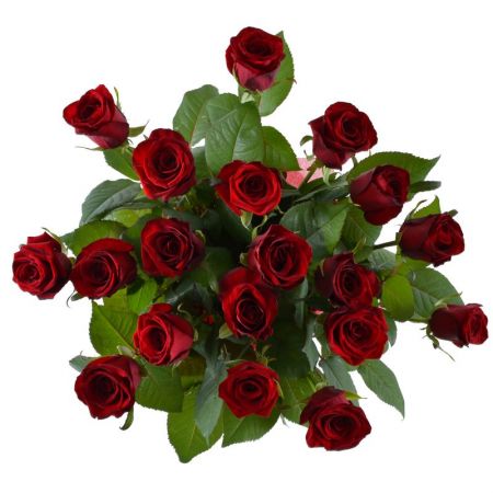 19 red roses
