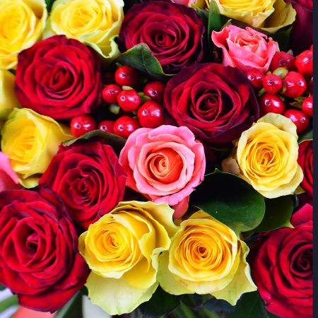 100 разноцветных роз