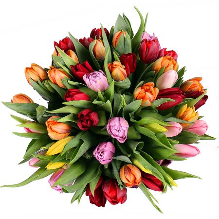  Bouquet Tulips 45
													