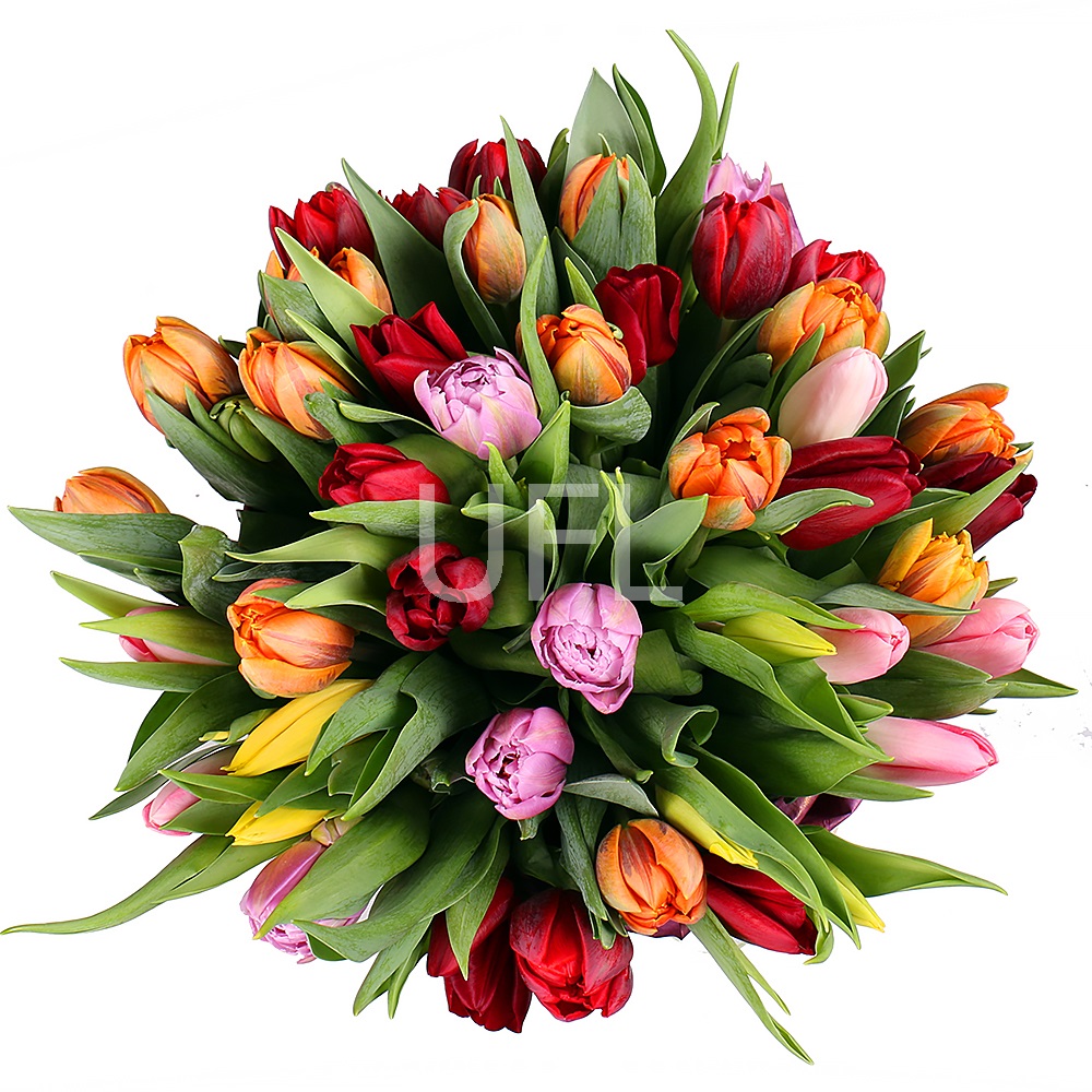  Bouquet Tulips 45
													