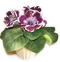 Bouquet of flowers Gloxinia  Ust-Kamenogorsk
														