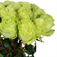 Букет Лесная Нимфа 19 салатовых роз
