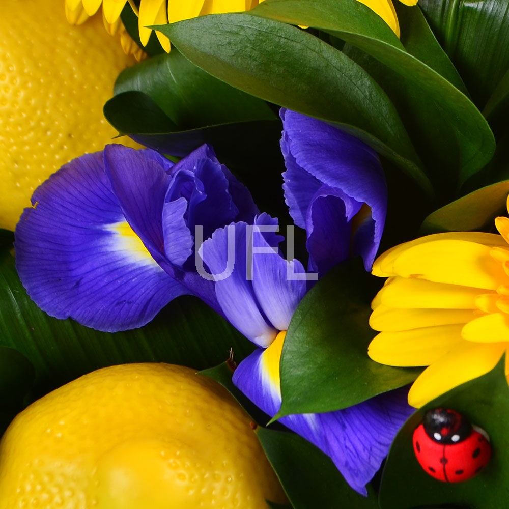 Bouquet of flowers Citron
													