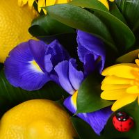 Bouquet of flowers Citron Brest (Belarus)
														