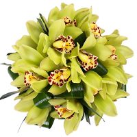  Bouquet Bouquet Exotic Nivelles
														