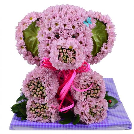  Bouquet Pink elephant
													