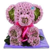 Bouquet Pink elephant
