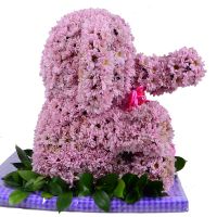  Bouquet Pink elephant
														