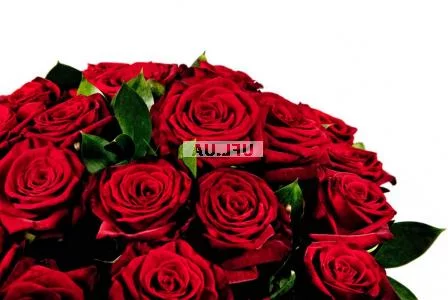 Поштучно червоні троянди 70 см