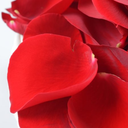 Rose Petals 165 €