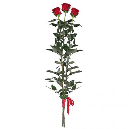 3 Red roses (80 cm)