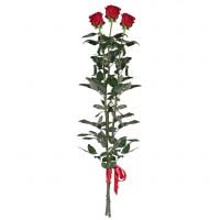 3 Red roses (80 cm)