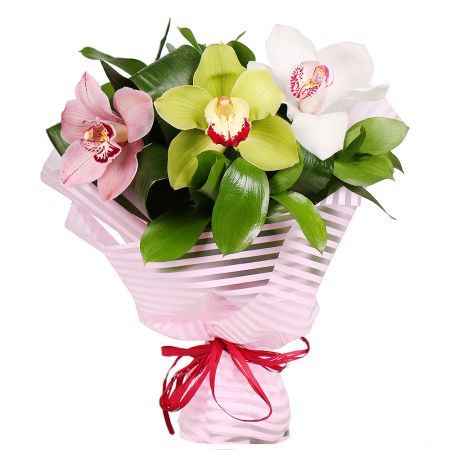 3 орхидеи микс Скала-Подольская