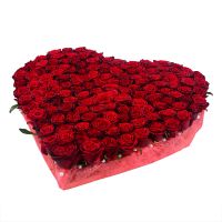 Rose heart (145 roses) Saldus