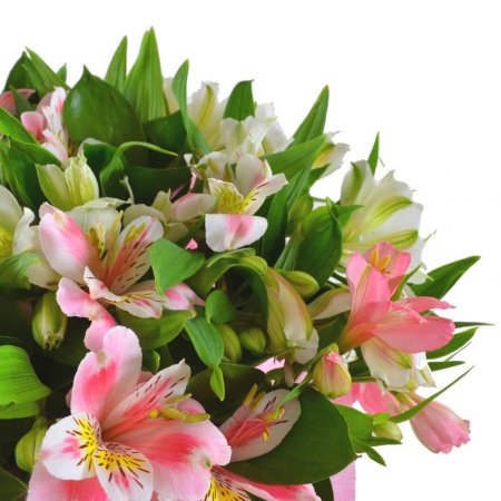  Bouquet Spring tenderness
													
