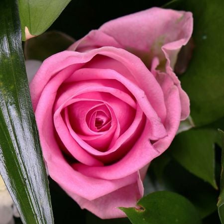 Funeral wreath of flowers