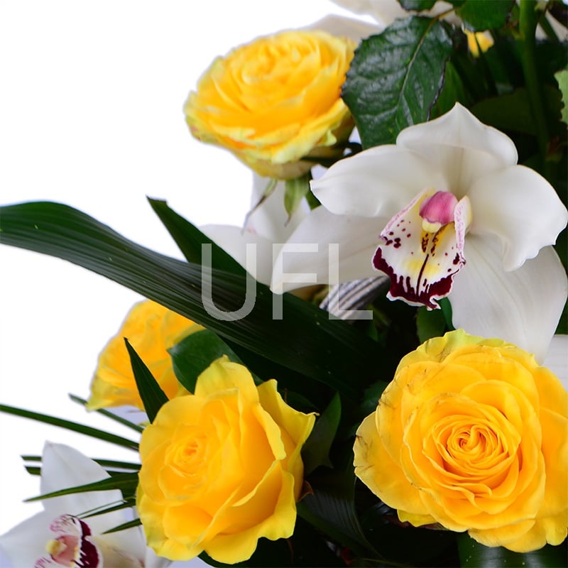 Ритуальная корзина из живых цветов № 16 540 $