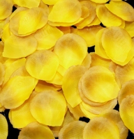 Лепестки желтых роз  Алматы