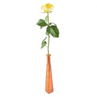 Single yellow rose Uzhgorod