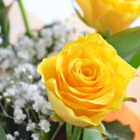 Букет Квітень 9 жовтих троянд