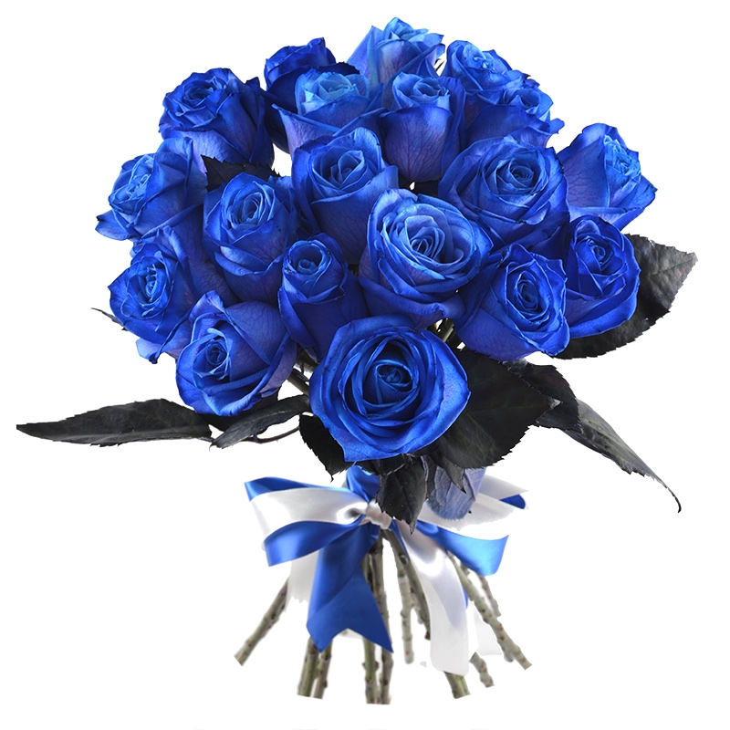 Blue roses Mystic