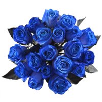 Blue roses Mystic Dneprorudnoe