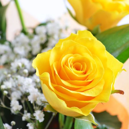 Квіти поштучно жовті троянди
