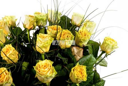 Yellow roses by piece 400 грн