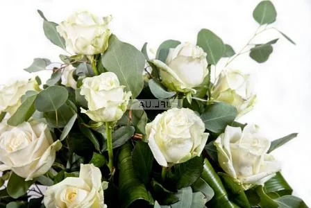 White roses by the piece