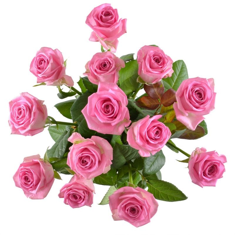 Квіти поштучно рожеві троянди