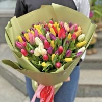 51 разноцветных тюльпанов