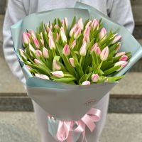 51 pink tulips Taraklia