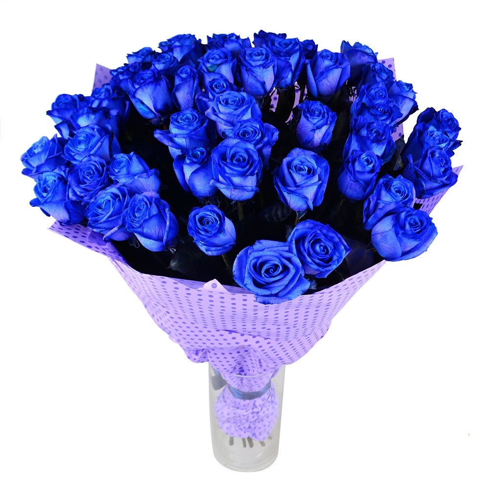 51 синяя роза Росток