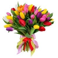  Bouquet 51 tulip
														